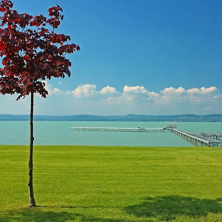 Apartment Balaton A2025